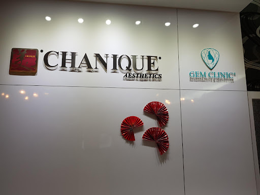 Chanique Aesthetics