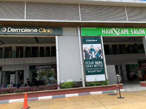 Dermalene Shah Alam - Skin & Wellness Centre